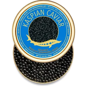 𝐁𝐄𝐒𝐓𝐒𝐄𝐋𝐋𝐄𝐑 Premium Siberian Sturgeon Royal Black Caviar - 1.1 oz - (30g) - Classical Sturgeon Malossol Sturgeon Black Roe - [APRIL 2025]