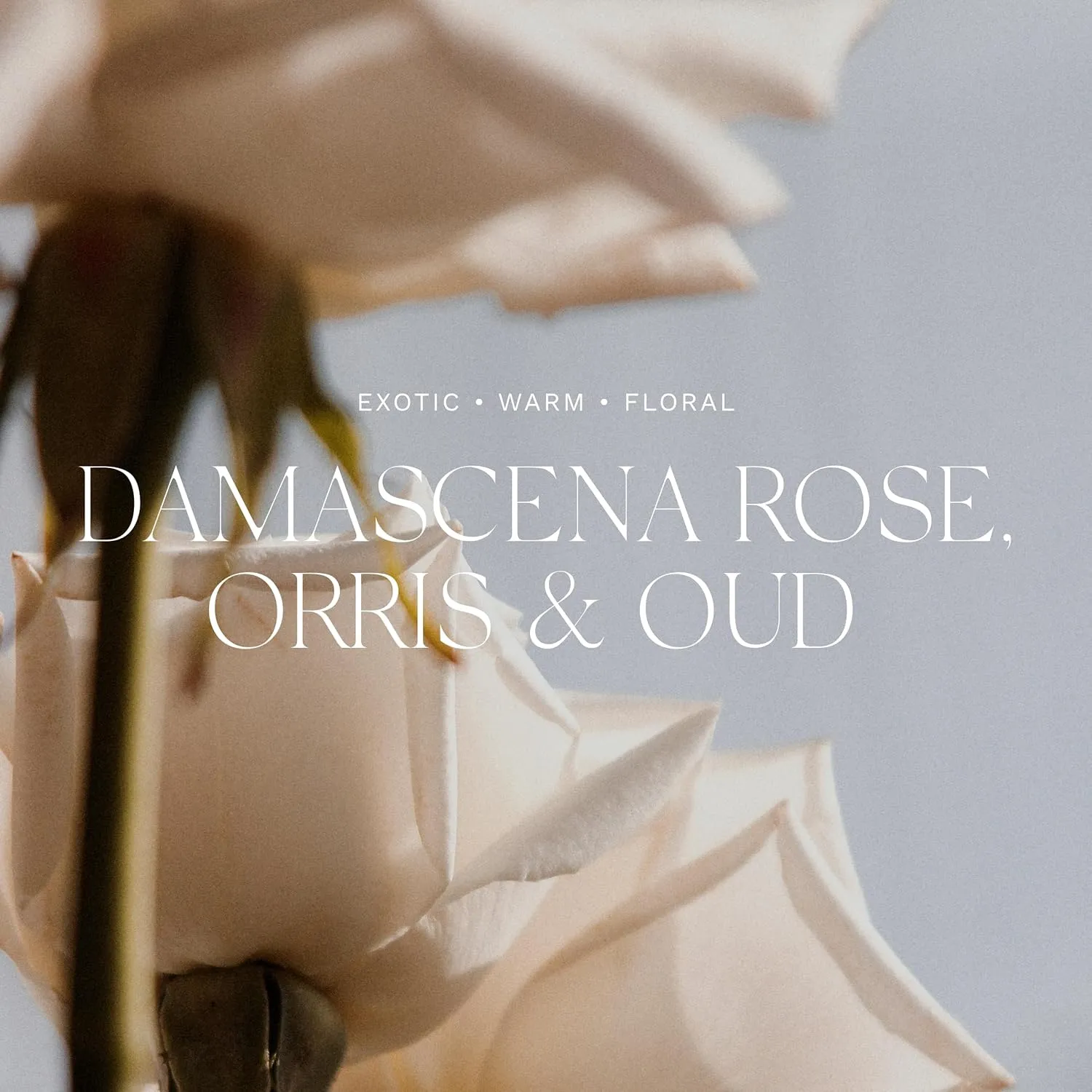 Antica Farmacista Damascena Rose, Orris & Oud Bubble Bath, 16 Fl Oz