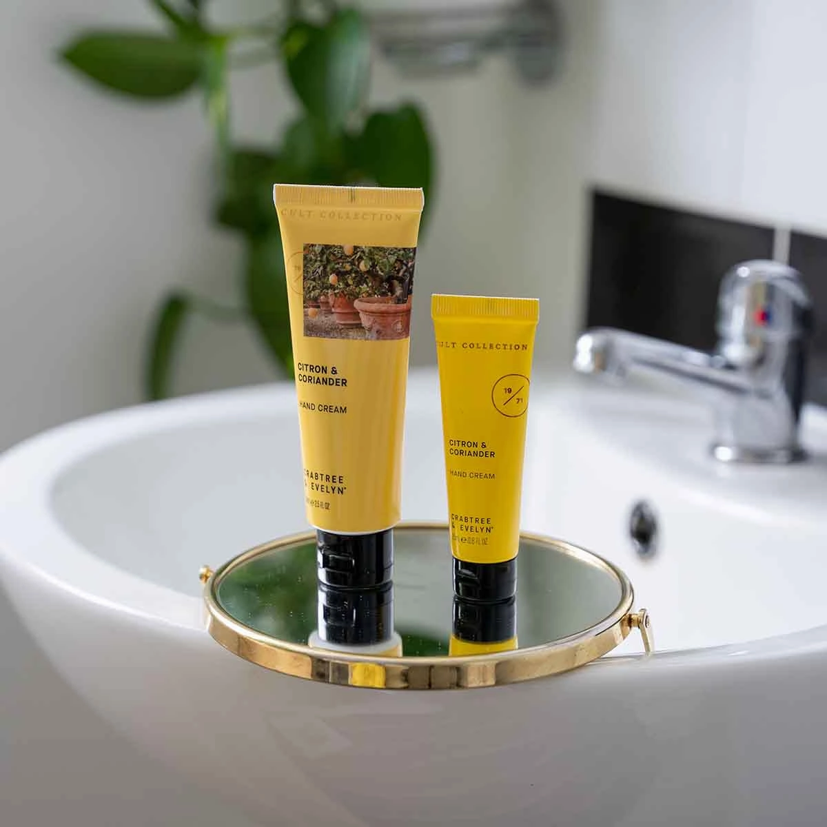 Citron & Coriander Hand Cream - 75ml