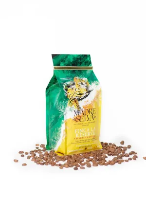 Colombian Specialty Coffee Whole Bean Medium Roast Arabica Gourmet Fresh Roasted Single Origin Low Acid Smooth Flavor Balanced Caturra Variety Fruity Notes High Altitude Quality Gift Ready 8.8oz 250g