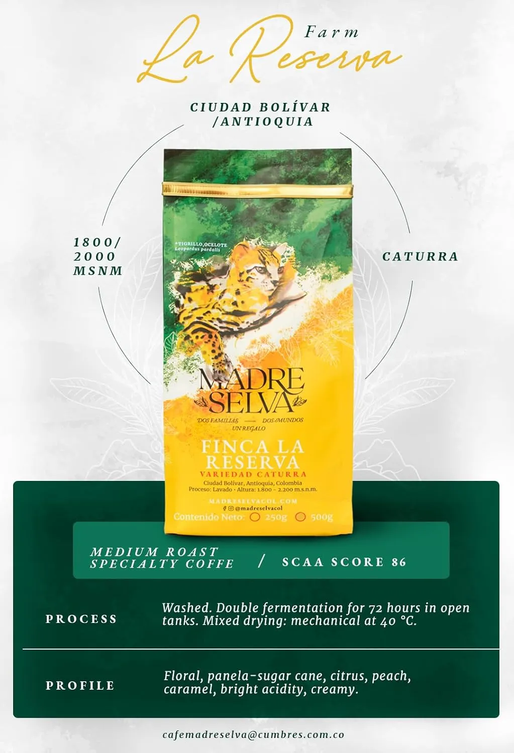 Colombian Specialty Coffee Whole Bean Medium Roast Arabica Gourmet Fresh Roasted Single Origin Low Acid Smooth Flavor Balanced Caturra Variety Fruity Notes High Altitude Quality Gift Ready 8.8oz 250g