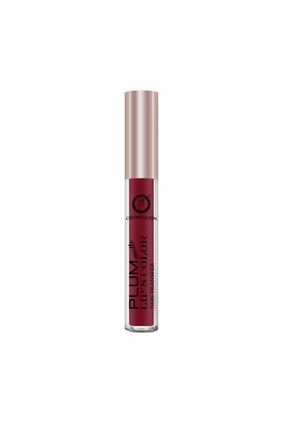 Colors Queen Plum Matte Long Lasting Waterproof Lipstick - 7gm (Cranberry)
