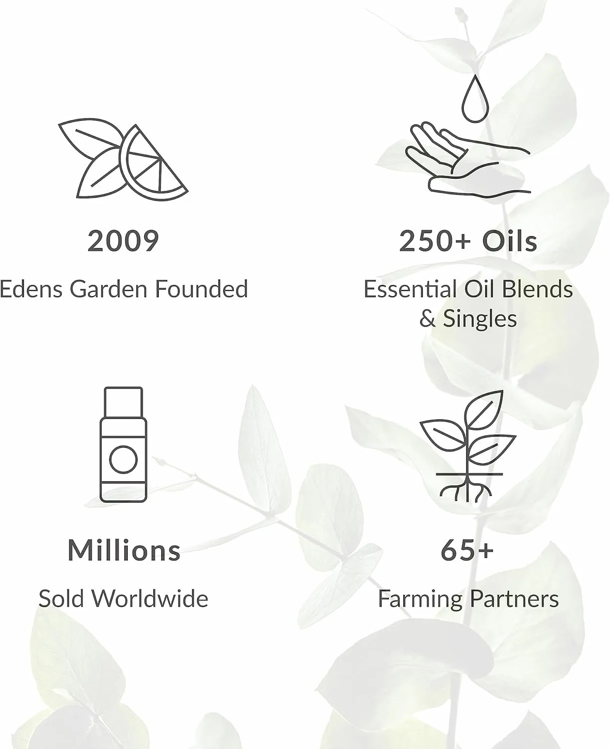 Edens Garden Beach House Essential Oil Blend- 100% Pure Premium Grade, Undiluted, Natural, Therapeutic, Aromatherapy, The Best for Diffusing, Kid Safe, Laundry, Hair 10 ml (.33 fl oz)