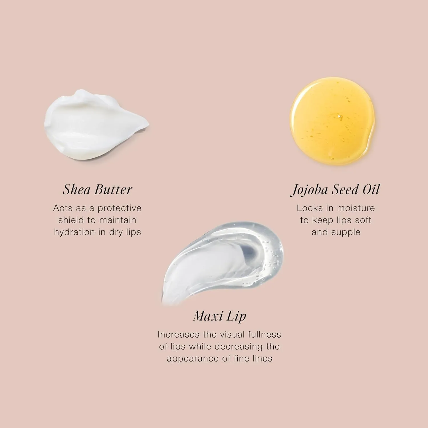 Jouer Essential Lip Enhancer Shine Balm - Enhancing Tinted Lip Balm - Moisturize, Plump, & Nourishing Lip Care - Jojoba Seed Oil and Maxi Lip Formula for Moisturizing and Fullness, Peony