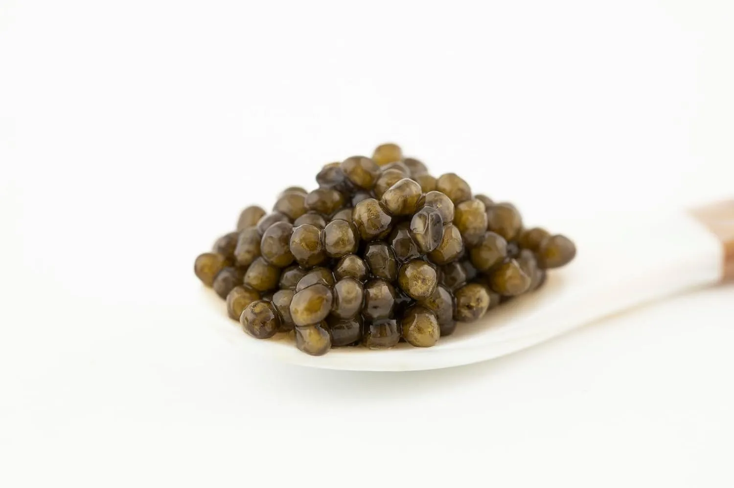 MAJESTIC Collection - Premium KALUGA Sturgeon Black Caviar - 1.8 oz / 50 g in Metal Jar - Kaluga Black Caviar with Classical Malossol Taste from Sturgeon Black Roe by Caviar d'Eden