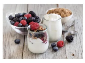 Positively Probiotic French | Heirloom Thermophilic Yogurt Starter Culture